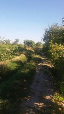 ملکان-تازه-قلعه-167394