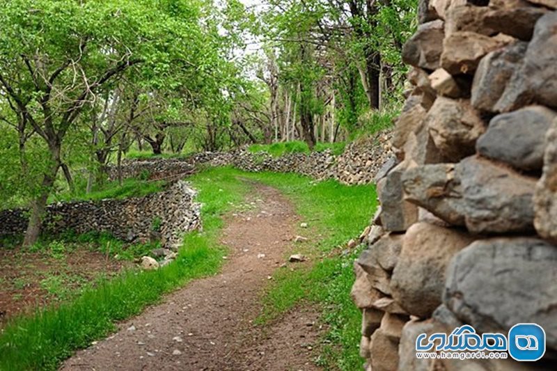 روستای طامه