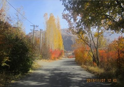 کرج-روستای-سرزیارت-169240