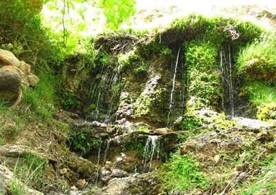 دامغان-منطقه-چشمه-انگورستانی-169997