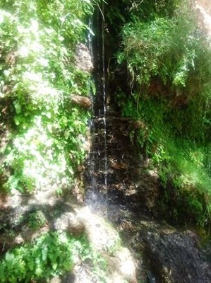 دامغان-منطقه-چشمه-انگورستانی-170003