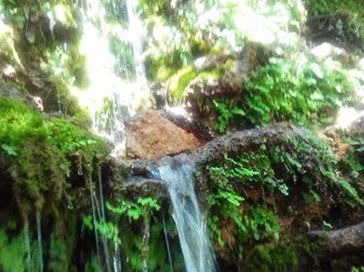 دامغان-منطقه-چشمه-انگورستانی-169999