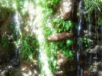 دامغان-منطقه-چشمه-انگورستانی-169998