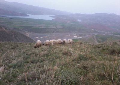 ارومیه-روستای-راژان-170077