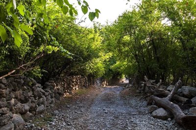 ایذه-روستای-شیوند-170672