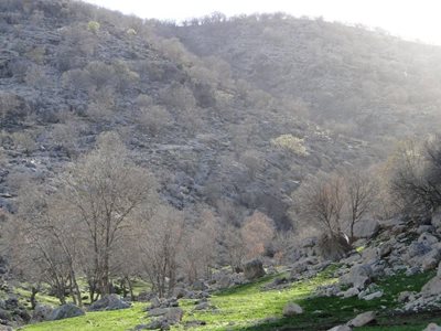 کازرون-دشت-برم-کازرون-170696