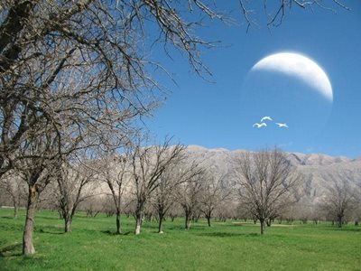 کازرون-دشت-برم-کازرون-170694