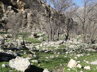 کازرون-دشت-برم-کازرون-170697