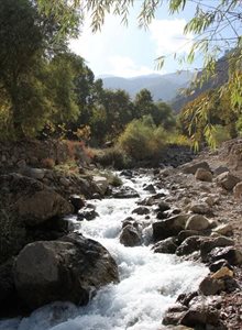 ایذه-روستای-شیوند-170666