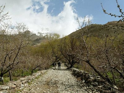 لواسان-روستای-افجه-170891