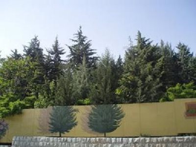 تهران-بوستان-بهشت-مادران-تهران-170914