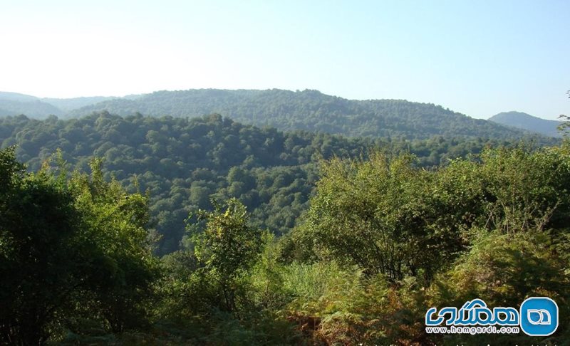 روستای ارزفون