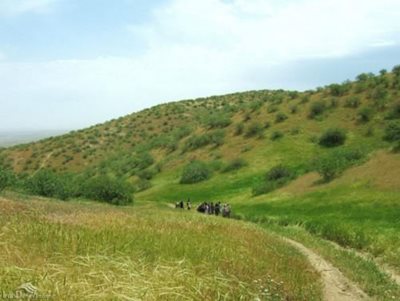 کلات-نادری-منطقه-حفاظت-شده-جنگل-خواجه-172054