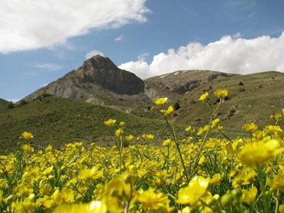 اسفراین-پارک-ملی-ساریگل-172590