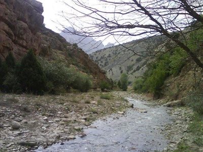 شهمیرزاد-منطقه-حفاظت-شده-پرور-173096