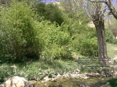 دامغان-روستای-دروار-173353