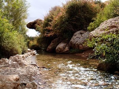 دامغان-روستای-دروار-173362