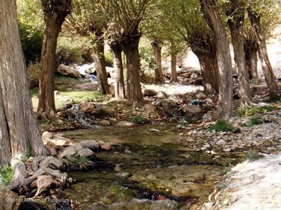 دامغان-روستای-دروار-173359