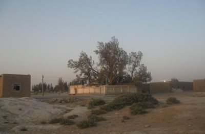 زابل-زیارتگاه-بی-بی-دوست-174058
