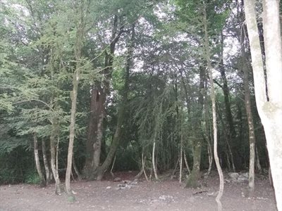 نوشهر-پارک-جنگلی-سی-سنگان-174150