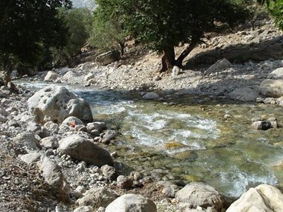 باغ-ملک-روستای-مال-آقا-174800