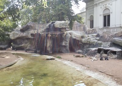 آمستردام-باغ-وحش-آرتیس-Natura-Artis-Magistra-175292