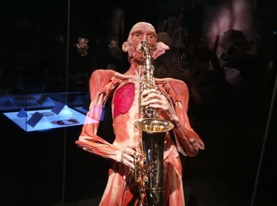 نمایشگاه BODY WORLDS Amsterdam