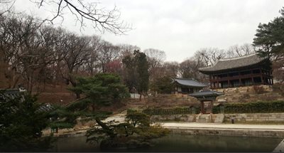 سئول-کاخ-چانگ-دیوک-گونگ-Changdeokgung-Palace-176613