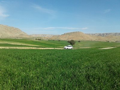 مسجد-سلیمان-روستای-بتوند-176960