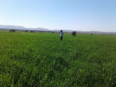 مسجد-سلیمان-روستای-بتوند-176961