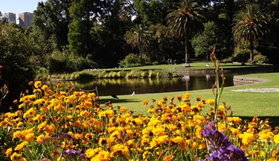 ملبورن-باغ-گیاه-شناسی-سلطنتی-Royal-Botanic-Gardens-180606