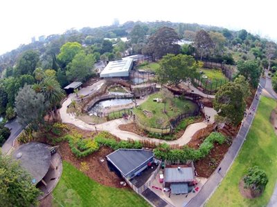 باغ وحش ملبورن Melbourne Zoo