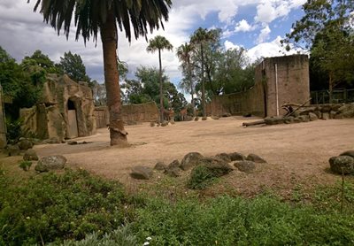 ملبورن-باغ-وحش-ملبورن-Melbourne-Zoo-180673