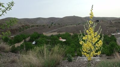 مشهد-روستای-جاغرق-181623