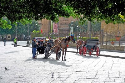 پالرمو-هتل-مرکور-Mercure-Palermo-Centro-183037