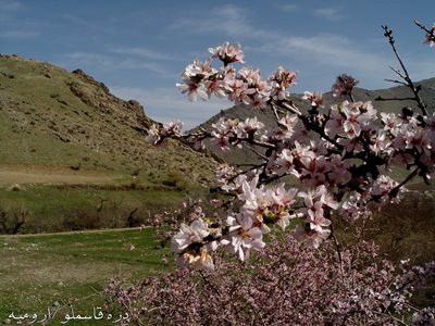 ارومیه-خان-دره-سی-184650