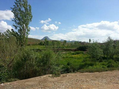 روستای همه کسی
