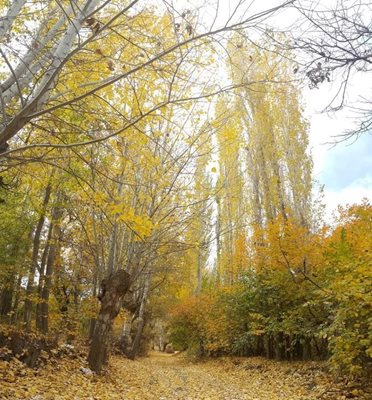 مشهد-روستای-بزوشک-187598