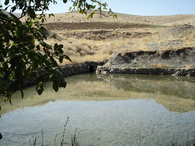 ملایر-ثمردشت-187618