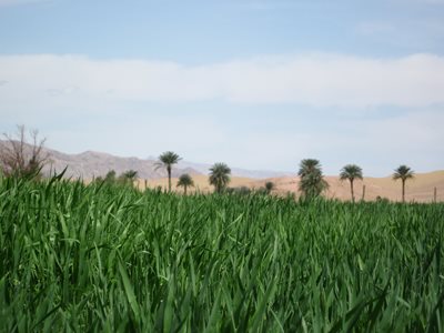 نائین-روستای-چوپانان-187674