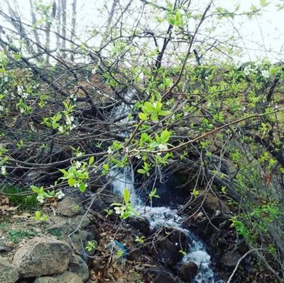 آباده-طشک-روستای-دهمورد-187781