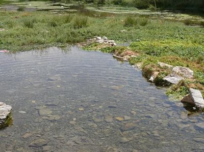 شازند-دریاچه-روستای-عمارت-187770