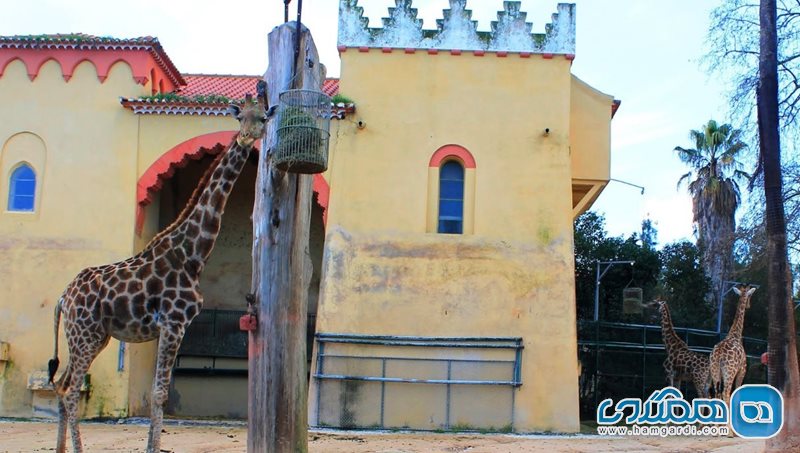 باغ وحش لیسبون Lisbon Zoo