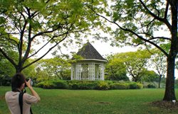 باغ گیاه شناسی سنگاپور Singapore Botanic Gardens