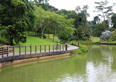 سنگاپور-باغ-گیاه-شناسی-سنگاپور-Singapore-Botanic-Gardens-190019