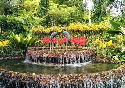 سنگاپور-باغ-گیاه-شناسی-سنگاپور-Singapore-Botanic-Gardens-190027