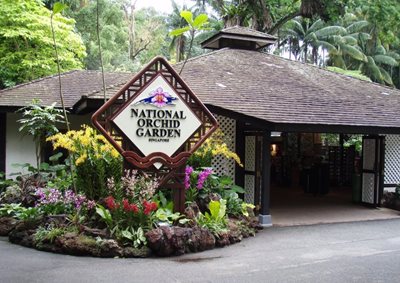 سنگاپور-باغ-ملی-ارکیده-National-Orchid-Garden-190033