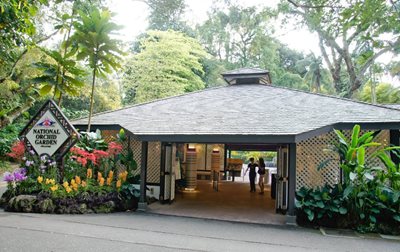 سنگاپور-باغ-ملی-ارکیده-National-Orchid-Garden-190035