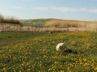 شیراز-گردشگاه-هفت-برم-190211