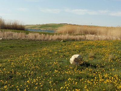 شیراز-گردشگاه-هفت-برم-190211